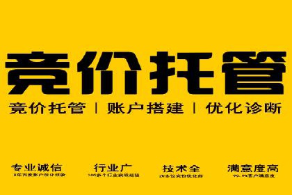 竞价推广代运营案例：ROI最大化策略分享